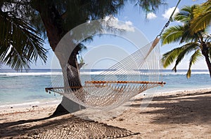 Hammock and Palm Trees on a Tropical Beach