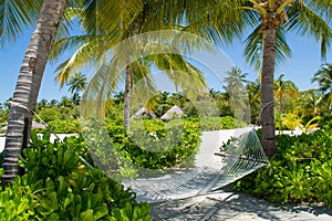 Hammock between palm trees at the tropical beach at Maldives