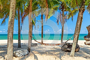 Hammock between palm trees on tropical beach. Paradise Island for holidays and relaxation