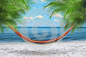 Hammock between palms at beach near sea on sunny day