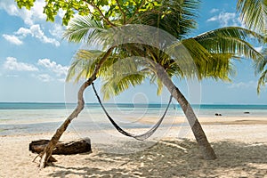 Hammock and palms on the beach resort at Koh Samui Island