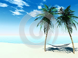 Hammock between palmtrees photo