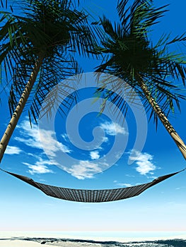 Hammock between palmtrees photo