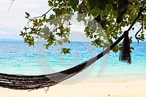 Hammock in paradise beach