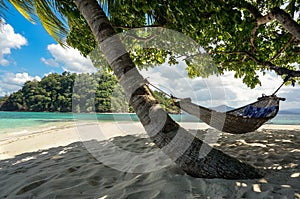 The hammock on Paradise island