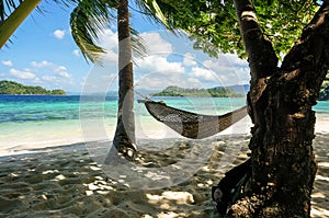 The hammock on Paradise island