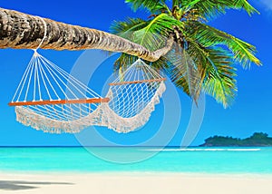 Hammock on perfect palm beach Baie Lazare, Mahe island, Seychelles photo