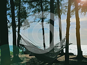 Hammock with person on, tied to trees next to sandy beach, in relaxing environment of late afternoon, almost sunset.