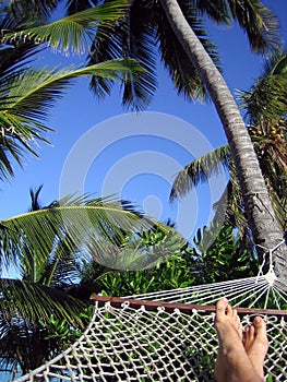 Hammock Relaxation