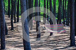 The hammock remains in the woods for the next tired traveler