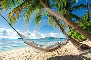 A hammock on a sandy tropical beach surrounded by lush palm trees, An inviting hammock for two between palm trees on a secluded