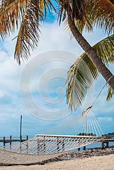 Hammock by the Sea