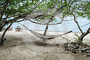 Hammock in the shade of a tree