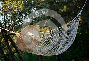 Hammock and a straw hat