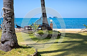 Hammock strung between two palms on tropical island.