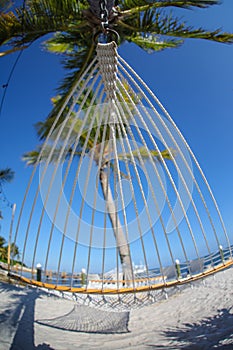 Hammock on summer beach