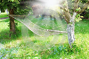 Hammock in sunny garden