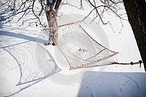 Hammock On A Sunny Winter Day