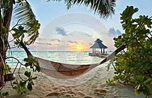 Hammock and sunset