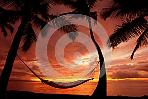 Hammock at Sunset in Paradise