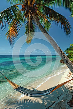 Hammock Swinging on Beach With Palm Trees