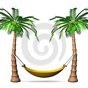 Hammock On Tall Palm Trees Front View