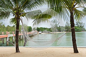Hammock tied to coconut trees