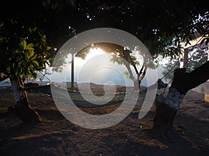 A hammock tied with two trees.