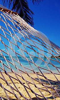 Hammock Time!