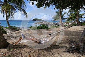 Hammock in Tranquil Tropical Setting