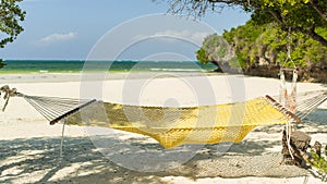 Hammock between the trees.holiday