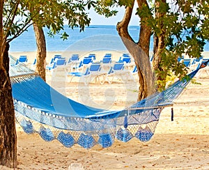 Hammock between trees and the sea