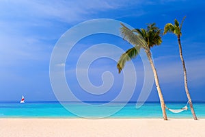 Hammock on a tropical beach