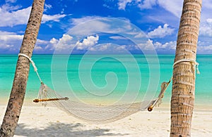 Hammock on a tropical beach