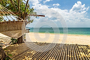 Hammock at the tropical beach