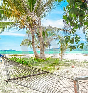 Hammock in a tropical beach