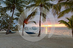 Hammock on tropical beach