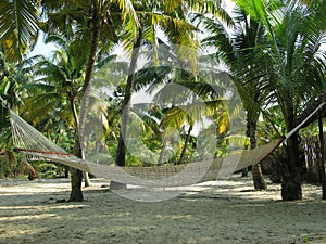 Hammock on tropical beach