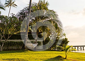 Hammock on tropical palm trees overlooking the mountains