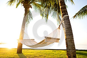 Hammock on tropical palm trees overlooking the mountains