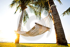 Hammock on tropical palm trees overlooking the mountains