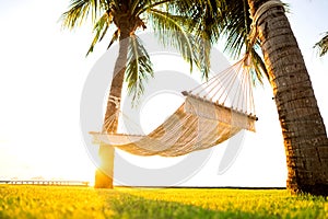 Hammock on tropical palm trees overlooking the mountains