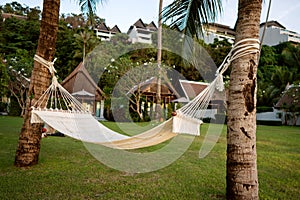 Hammock on tropical palm trees overlooking the mountains