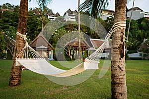 Hammock on tropical palm trees overlooking the mountains