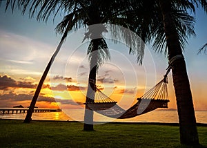 Hammock on tropical palm trees overlooking the sea and sunset