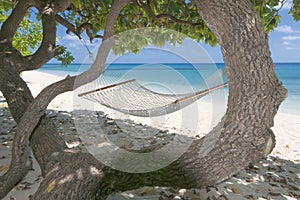 An hammock in tropical paradise turquoise water sand beach