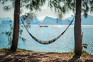 Hammock between two exotic trees at tropical beach background