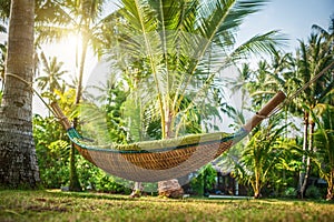 Hammock between two exotic trees at tropical beach background