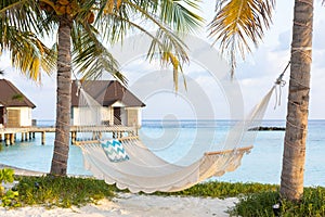 Hammock between two palm trees on the beach