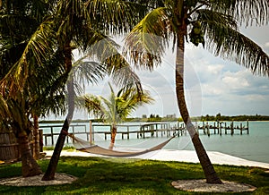Hammock between two palm trees on the beach.